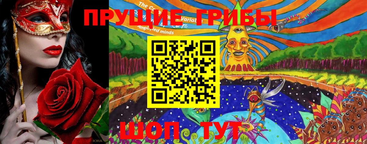 Псилоцибиновые грибы Psilocybine cubensis  Вход с VPN  Россия 
